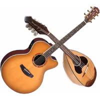 CANZONI
